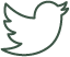 twitter icon